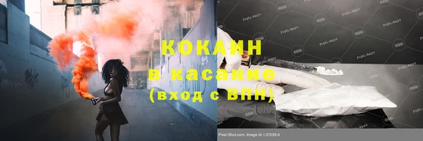хмурый Алзамай