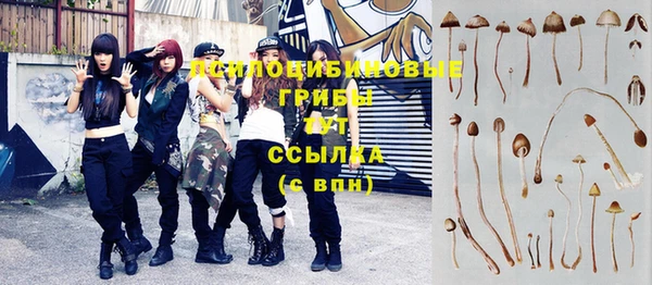 меф Новодвинск