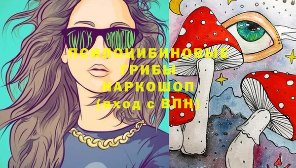 хмурый Алзамай