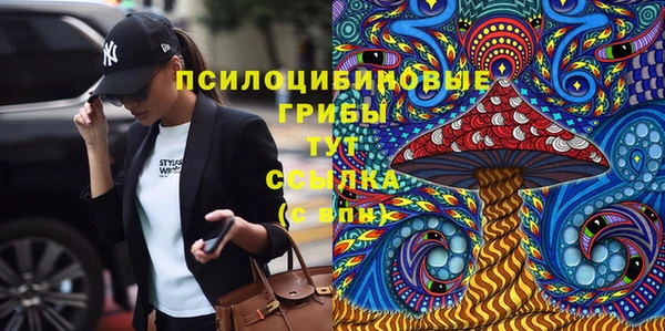 PSILOCYBIN Алексин