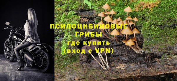 марки lsd Алексеевка