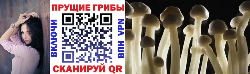Купить  Вуктыл  Псилоцибиновые грибы ЛСД 